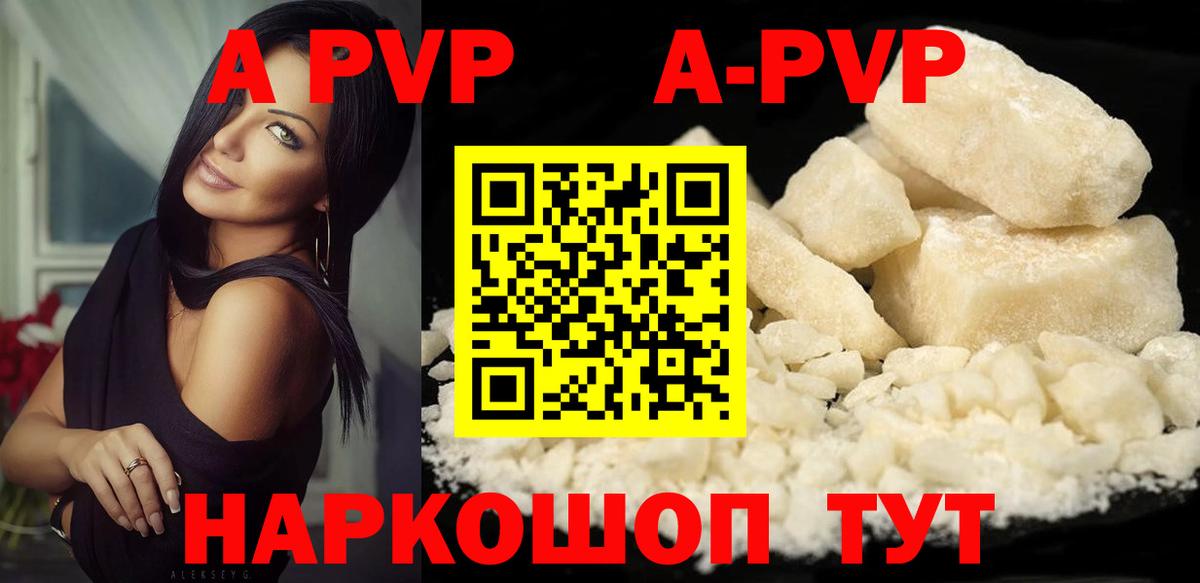 Альфа ПВП СК КРИС Кизилюрт