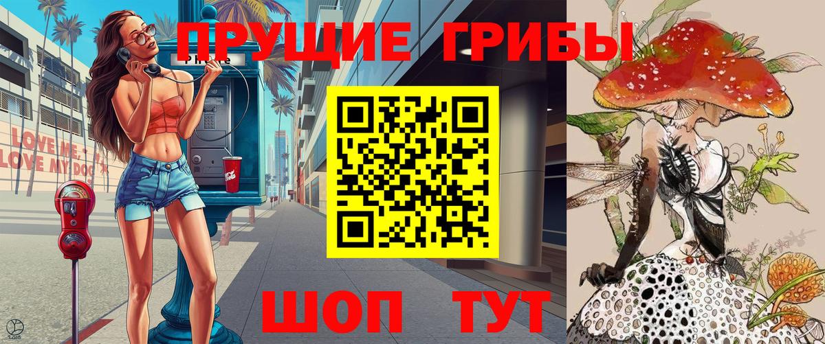 Кизилюрт  Псилоцибиновые грибы Psilocybine cubensis  купить наркотики цена  Вход с VPN 