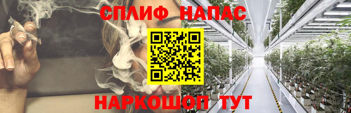 Бошки марихуана план  Конопля тримм  Бошки марихуана Bruce Banner  Вход с VPN  Кизилюрт 